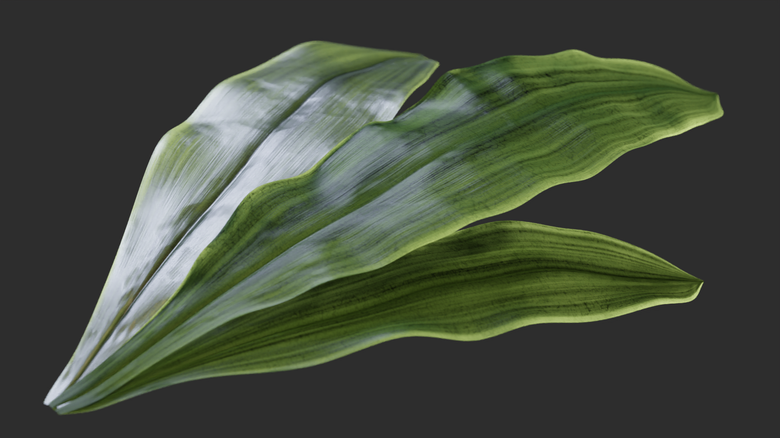Procedural
Leaves scene from LuxCoreRender examples.